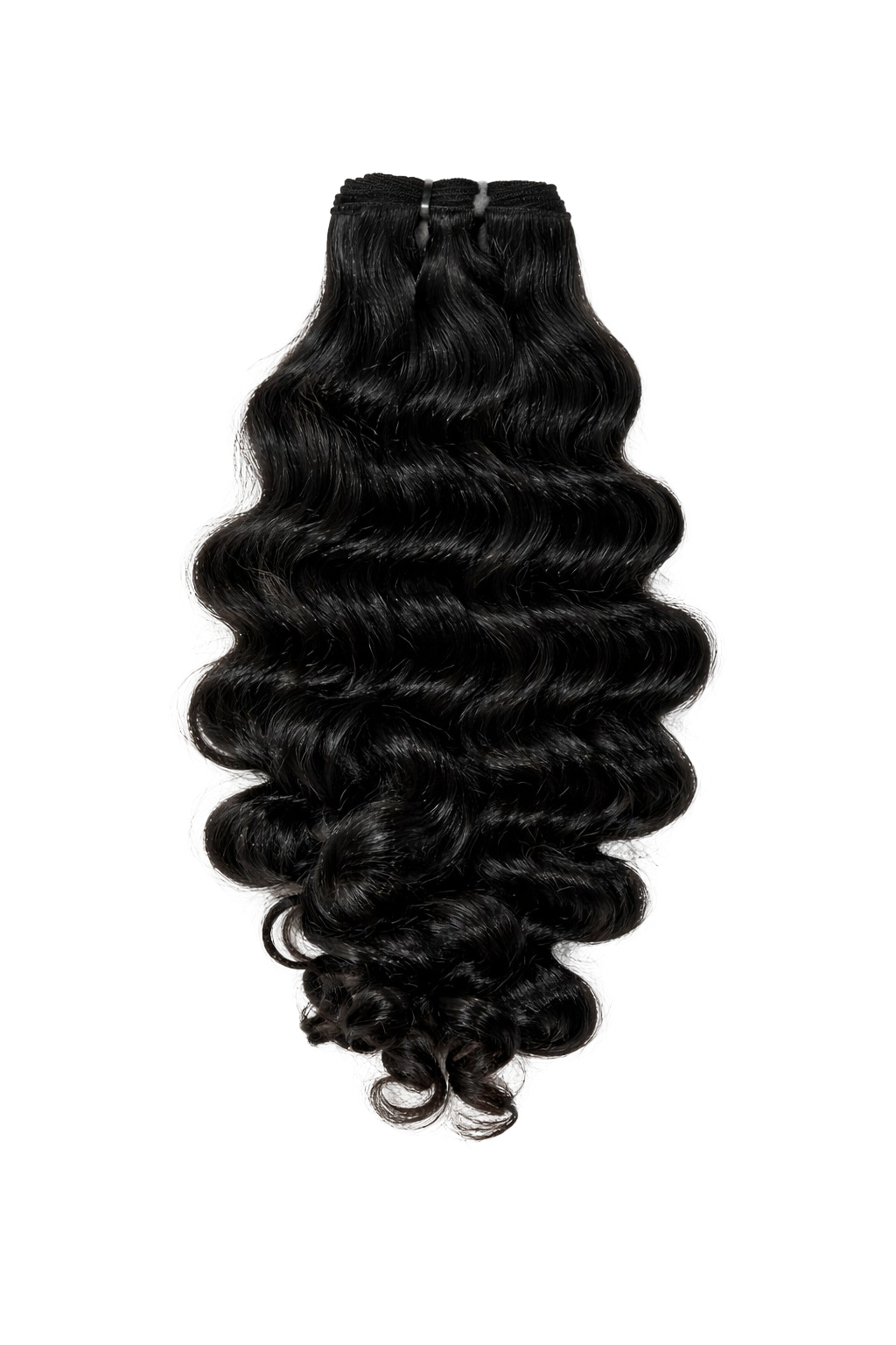 Raw Indian Curly Xtensions